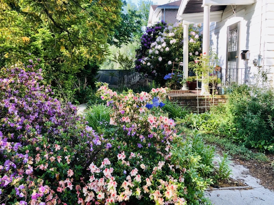 IMG_7615.jpg?type=w966