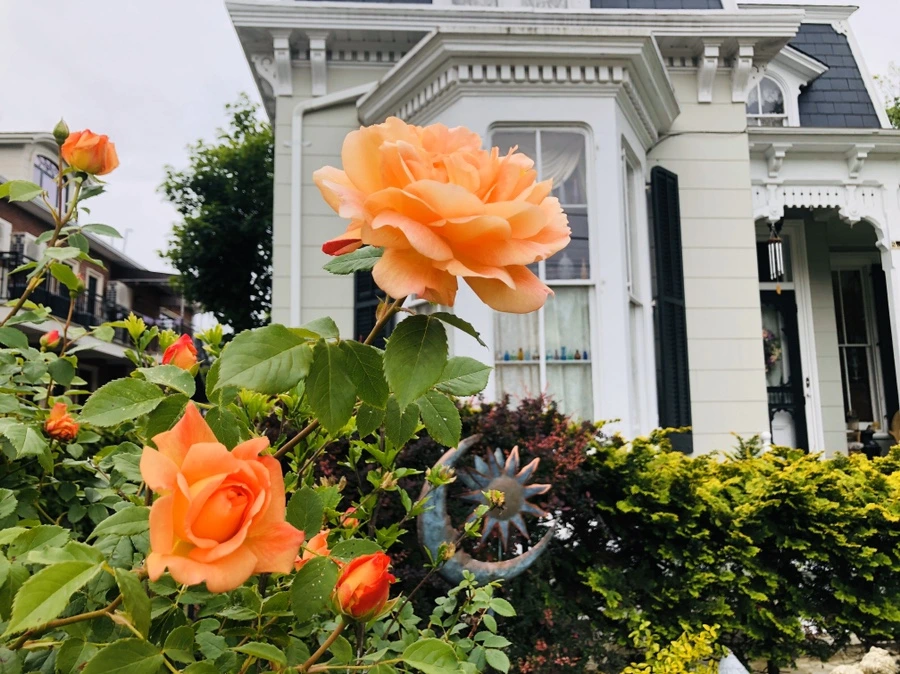 IMG_7371.jpg?type=w966