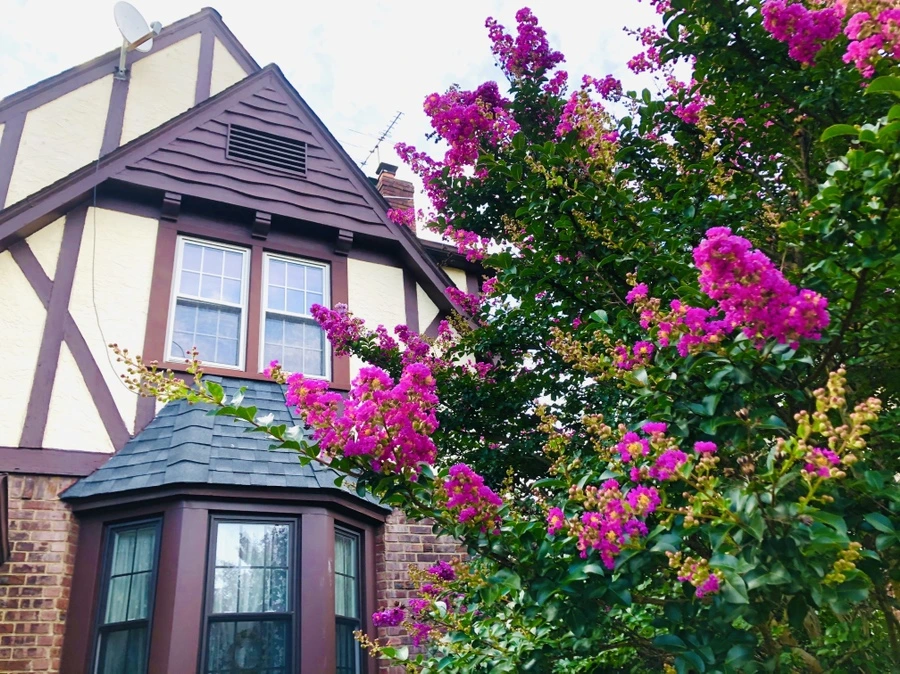 IMG_5678.jpg?type=w966