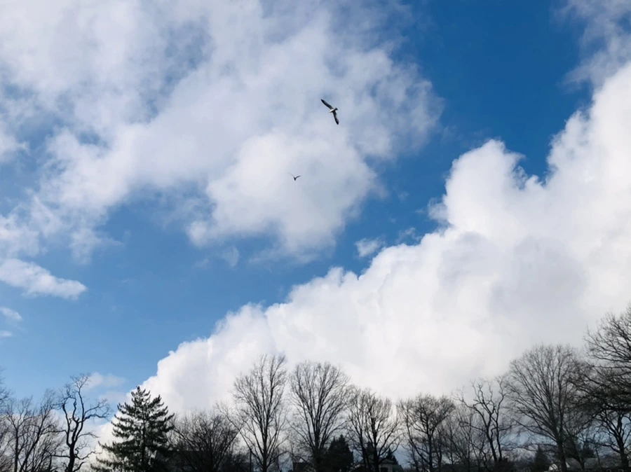 IMG_3512.jpg?type=w966