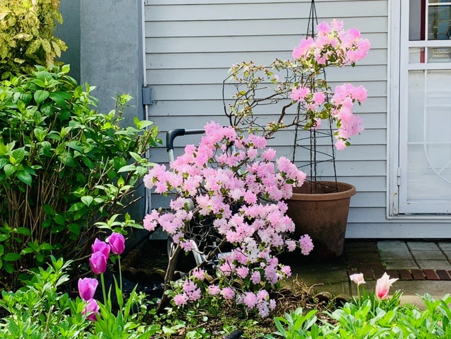 IMG_9642.jpg?type=w966