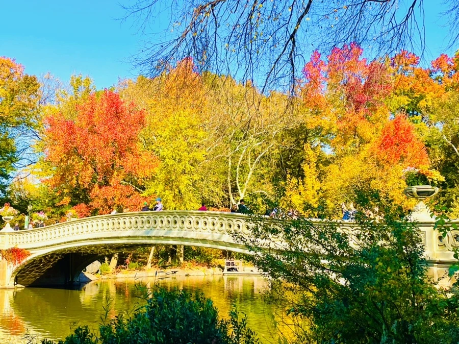 IMG_1645.jpg?type=w966