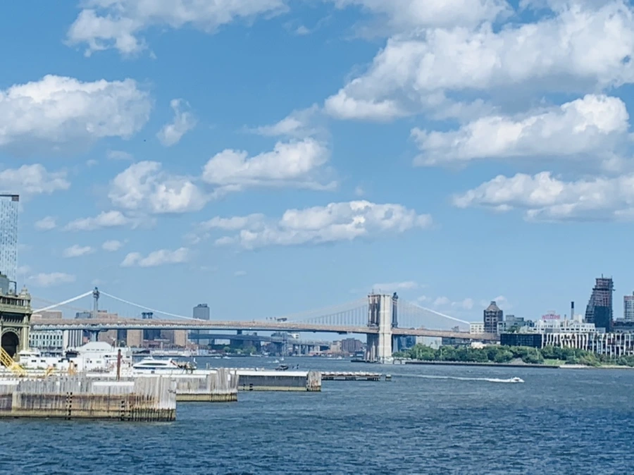 IMG_8383.jpg?type=w966