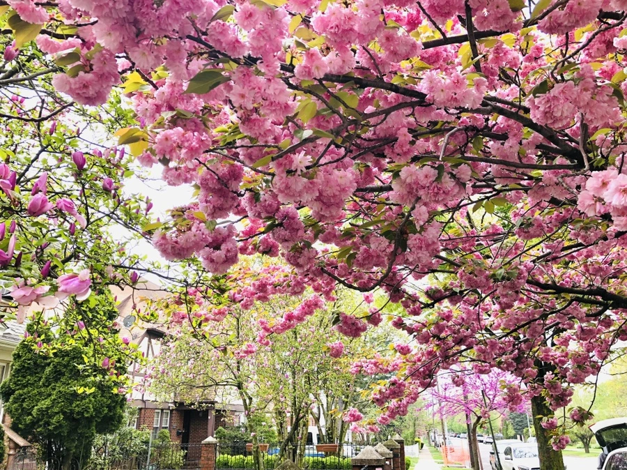 IMG_3947.jpg?type=w966