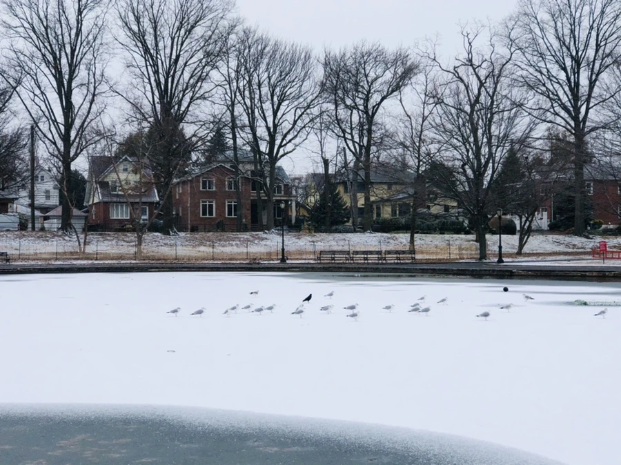 IMG_6157.jpg?type=w966