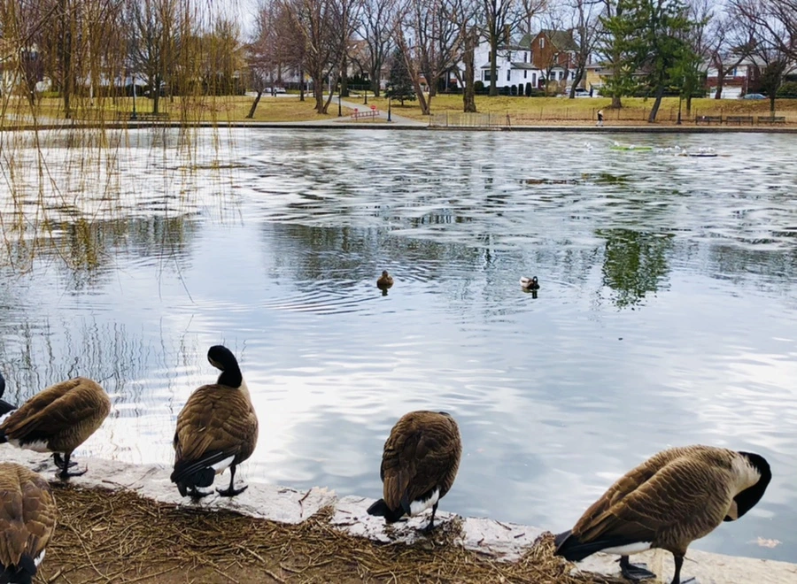 IMG_5057.jpg?type=w966