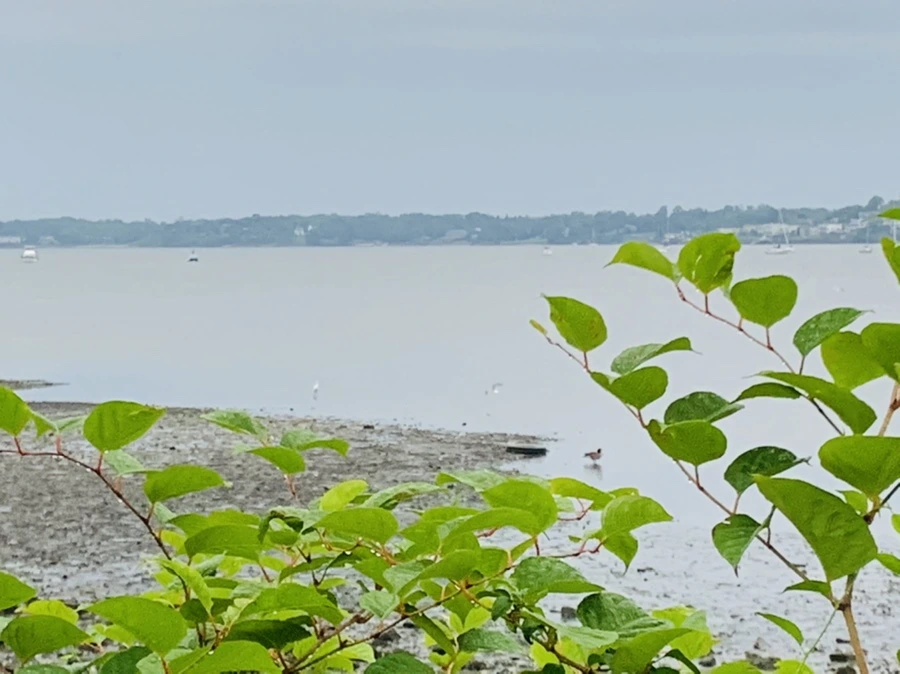 IMG_0771.jpg?type=w966