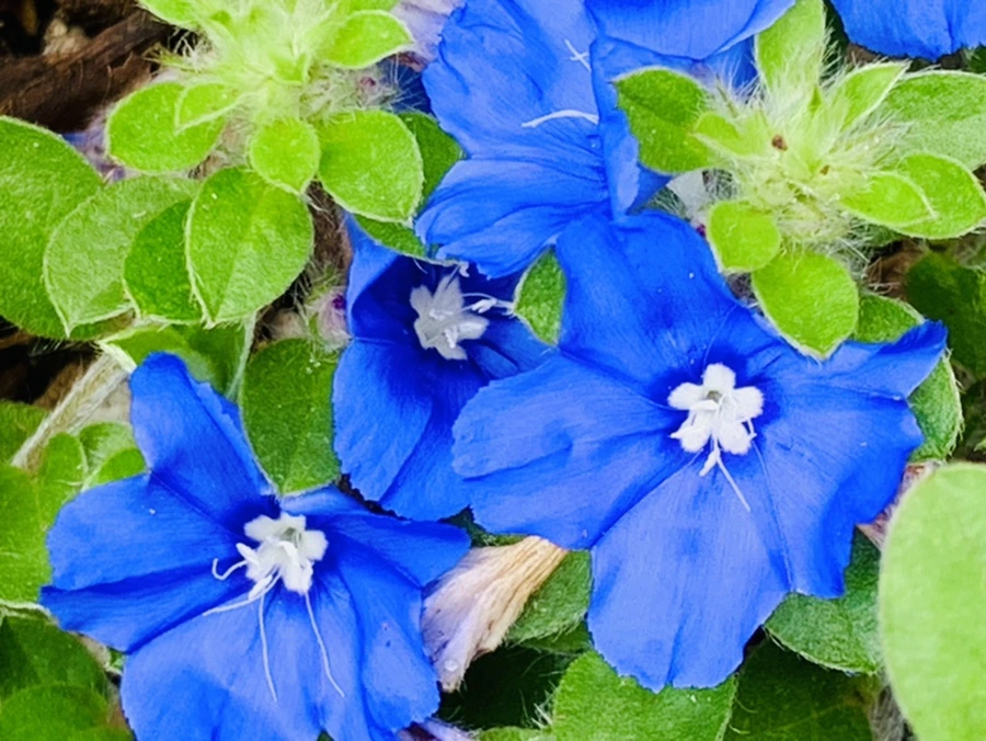 IMG_9176.jpg?type=w966