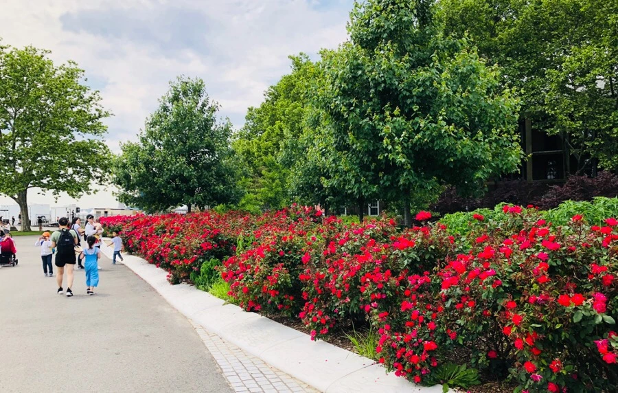 IMG_7423.jpg?type=w966