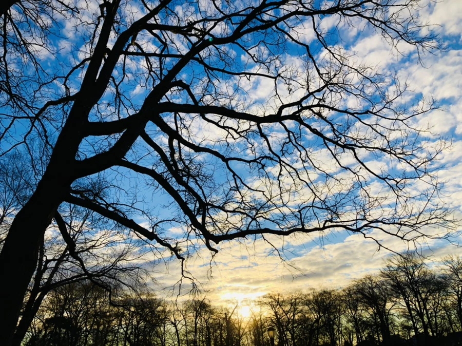 IMG_4887.jpg?type=w966