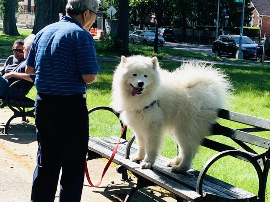 IMG_6961.jpg?type=w966