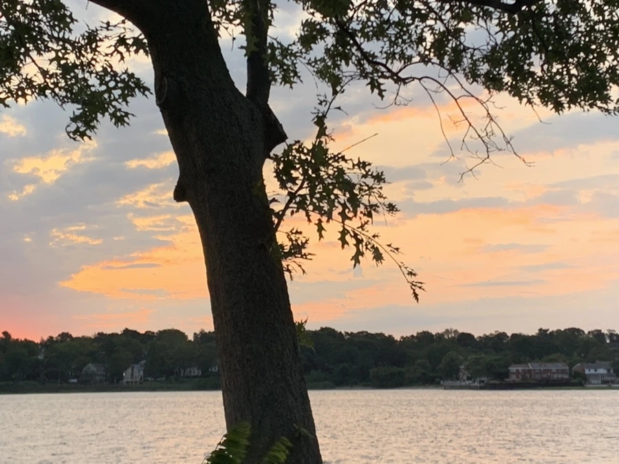 IMG_1664.jpg?type=w966