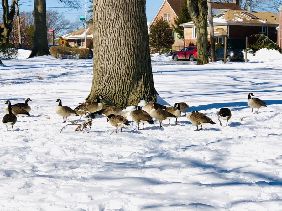 IMG_3968.jpg?type=w966