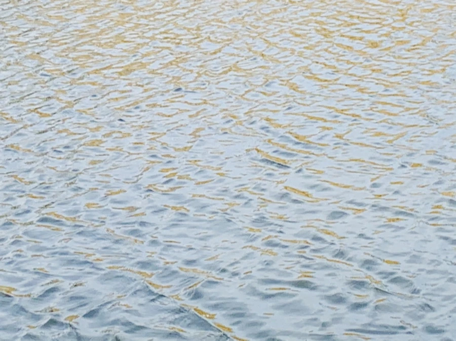 IMG_0308.jpg?type=w966