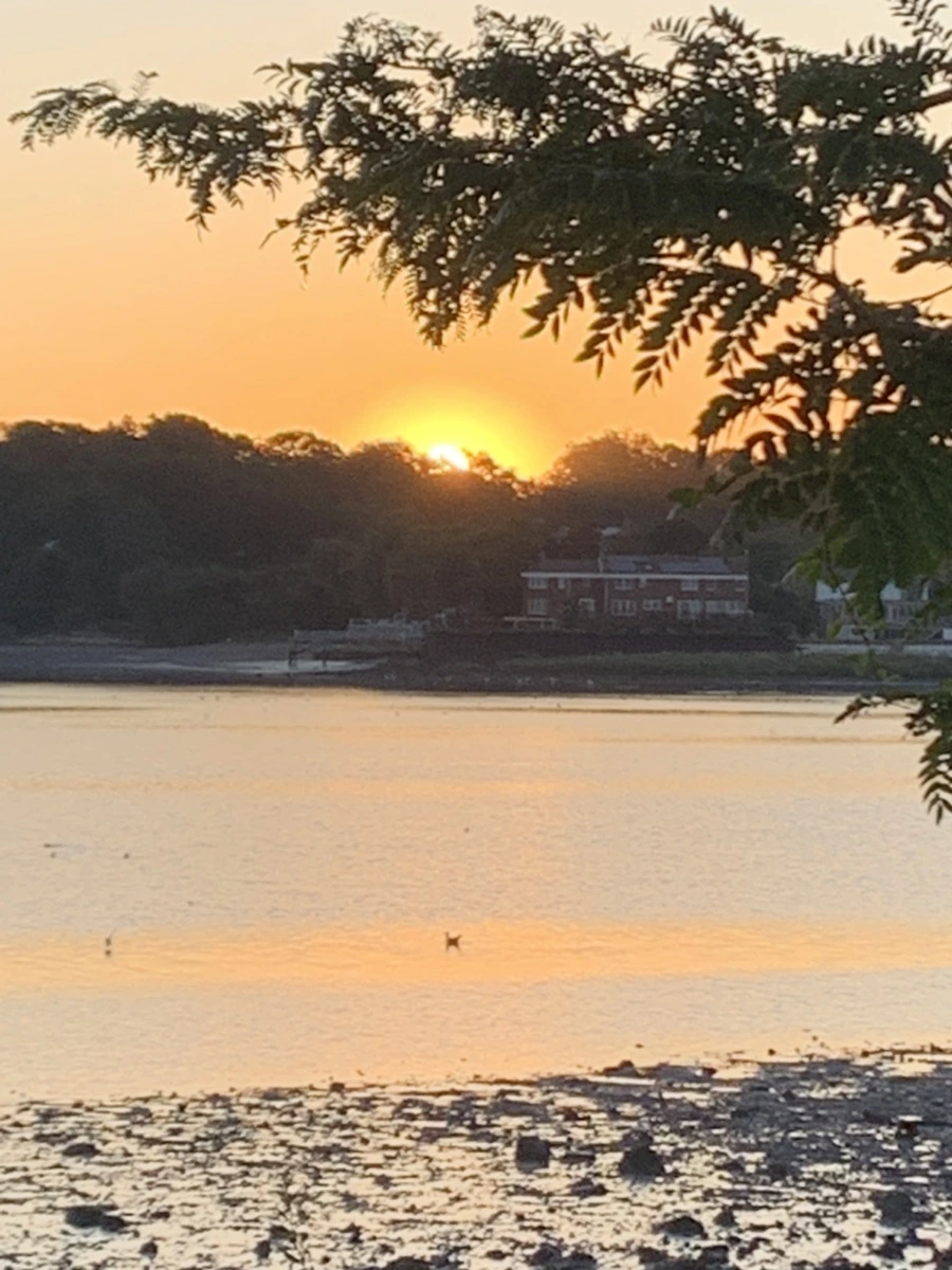 IMG_8597.jpg?type=w966