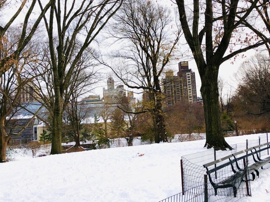 IMG_7333.jpg?type=w966