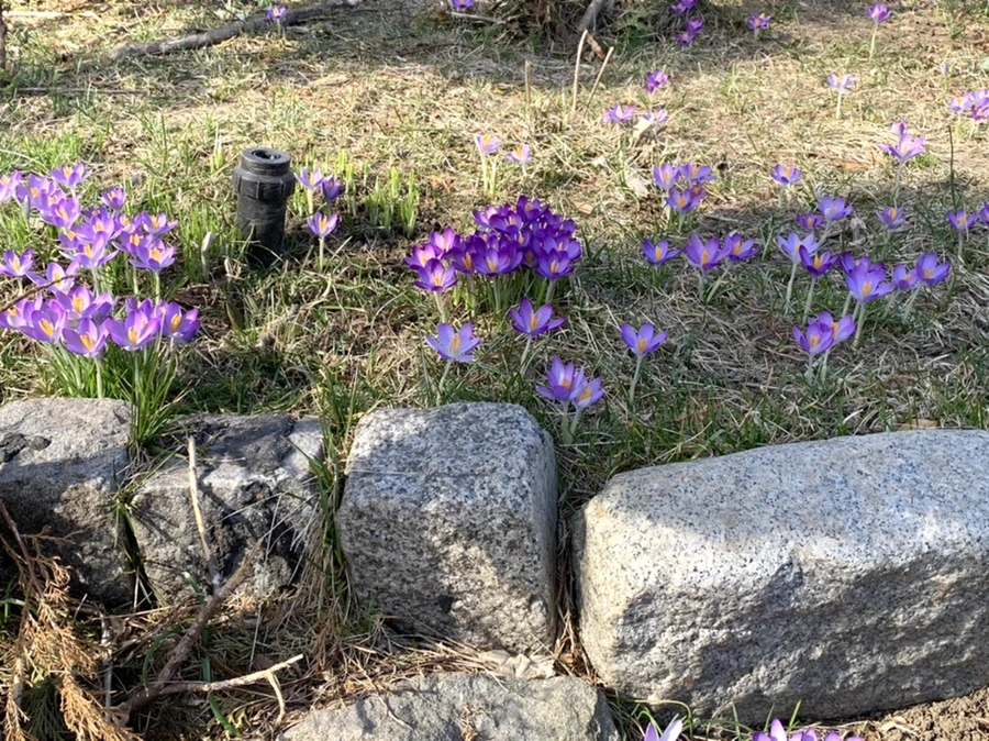 IMG_0199.jpg?type=w966