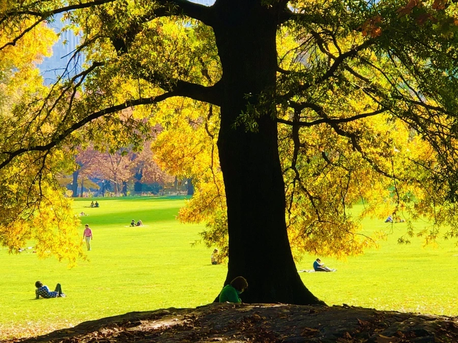 IMG_4336.jpg?type=w966