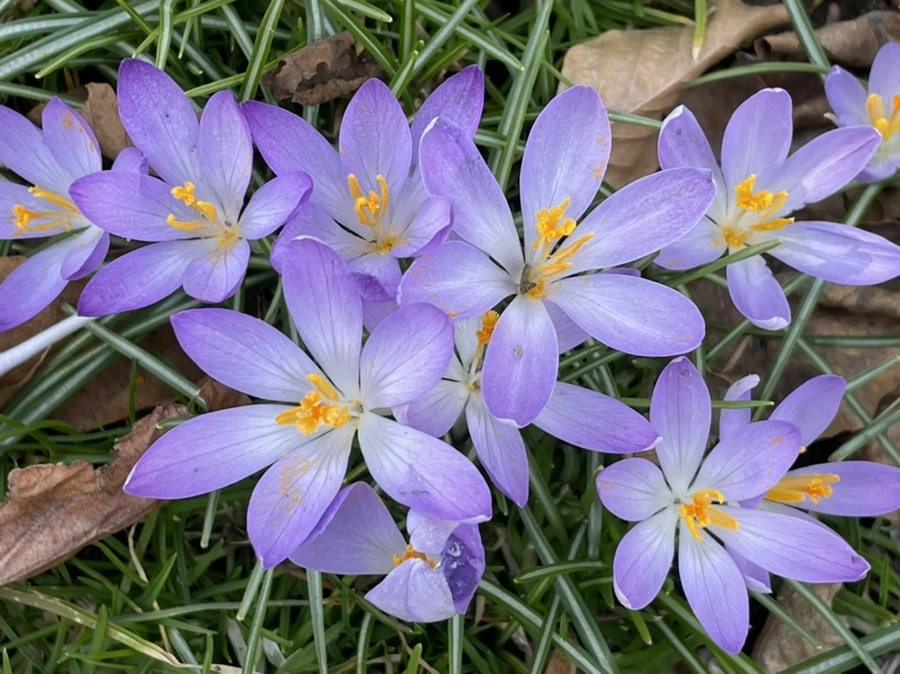 IMG_5339.jpg?type=w966