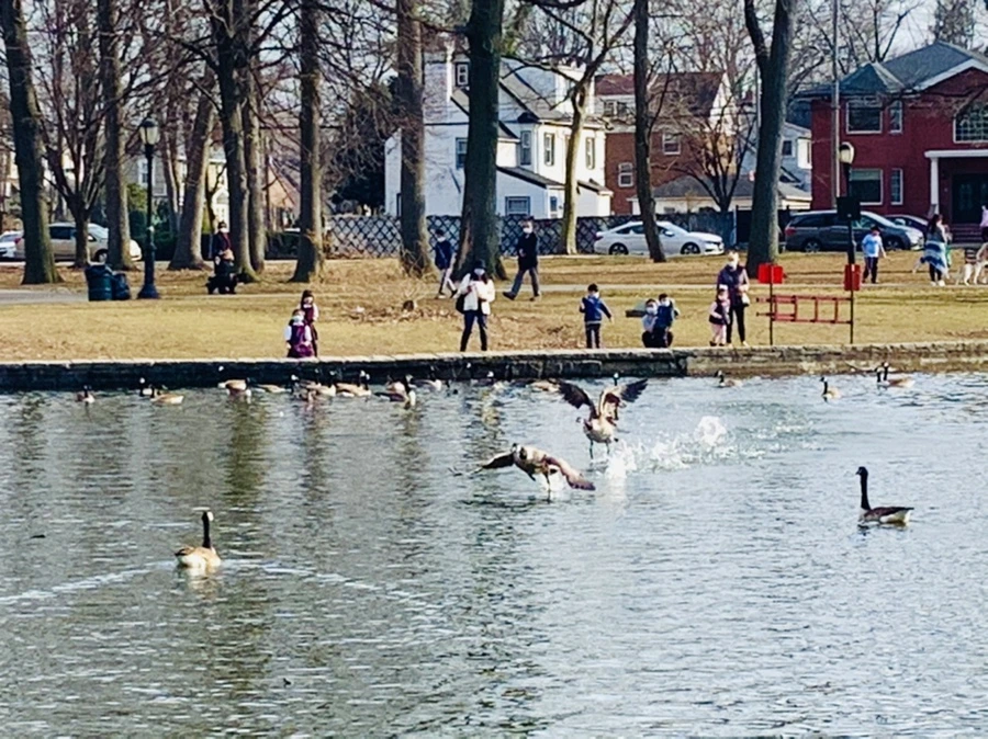 IMG_0383.jpg?type=w966