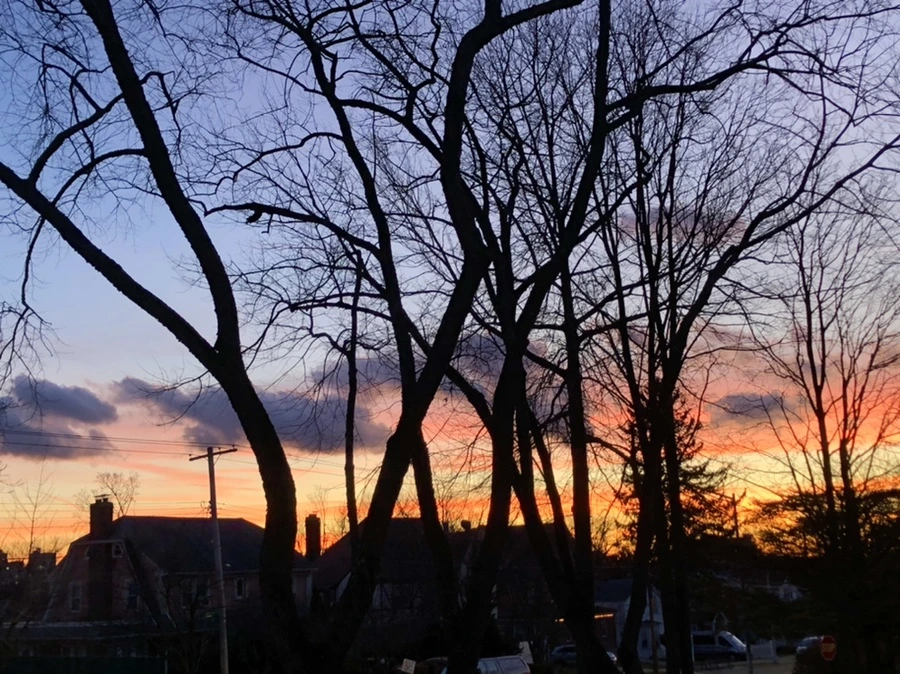 IMG_4615.jpg?type=w966