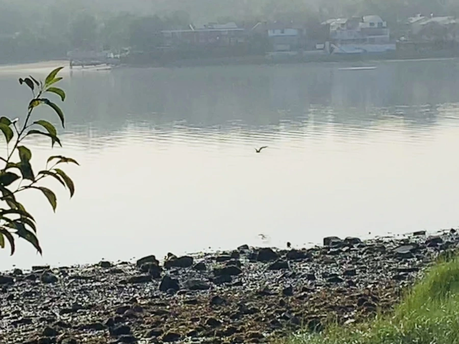 IMG_4361.jpg?type=w966