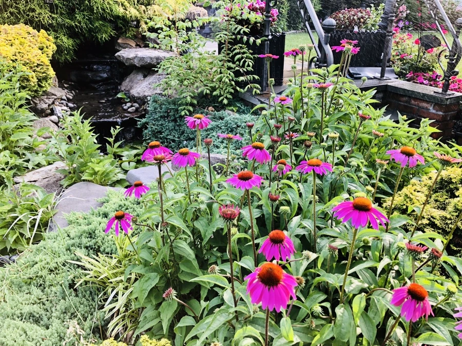 IMG_0435.jpg?type=w966