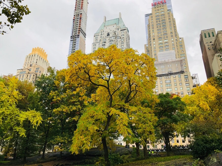 IMG_7259.jpg?type=w966