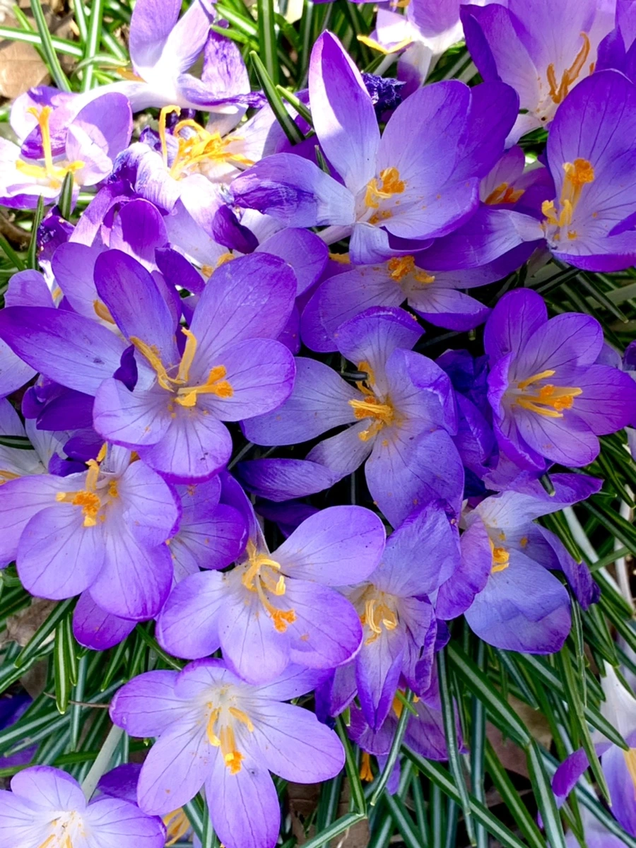 IMG_3164.jpg?type=w966