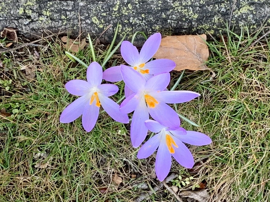 IMG_9216.jpg?type=w966