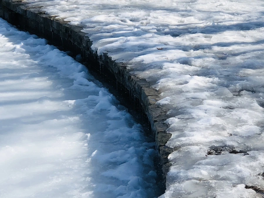 IMG_2981.jpg?type=w966