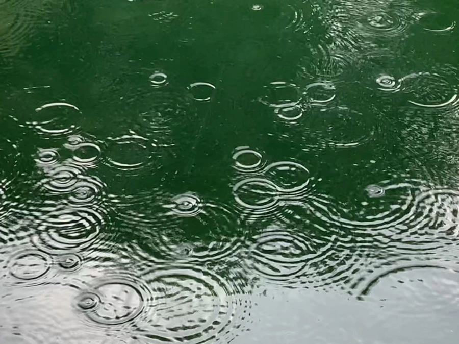 IMG_1720.jpg?type=w966