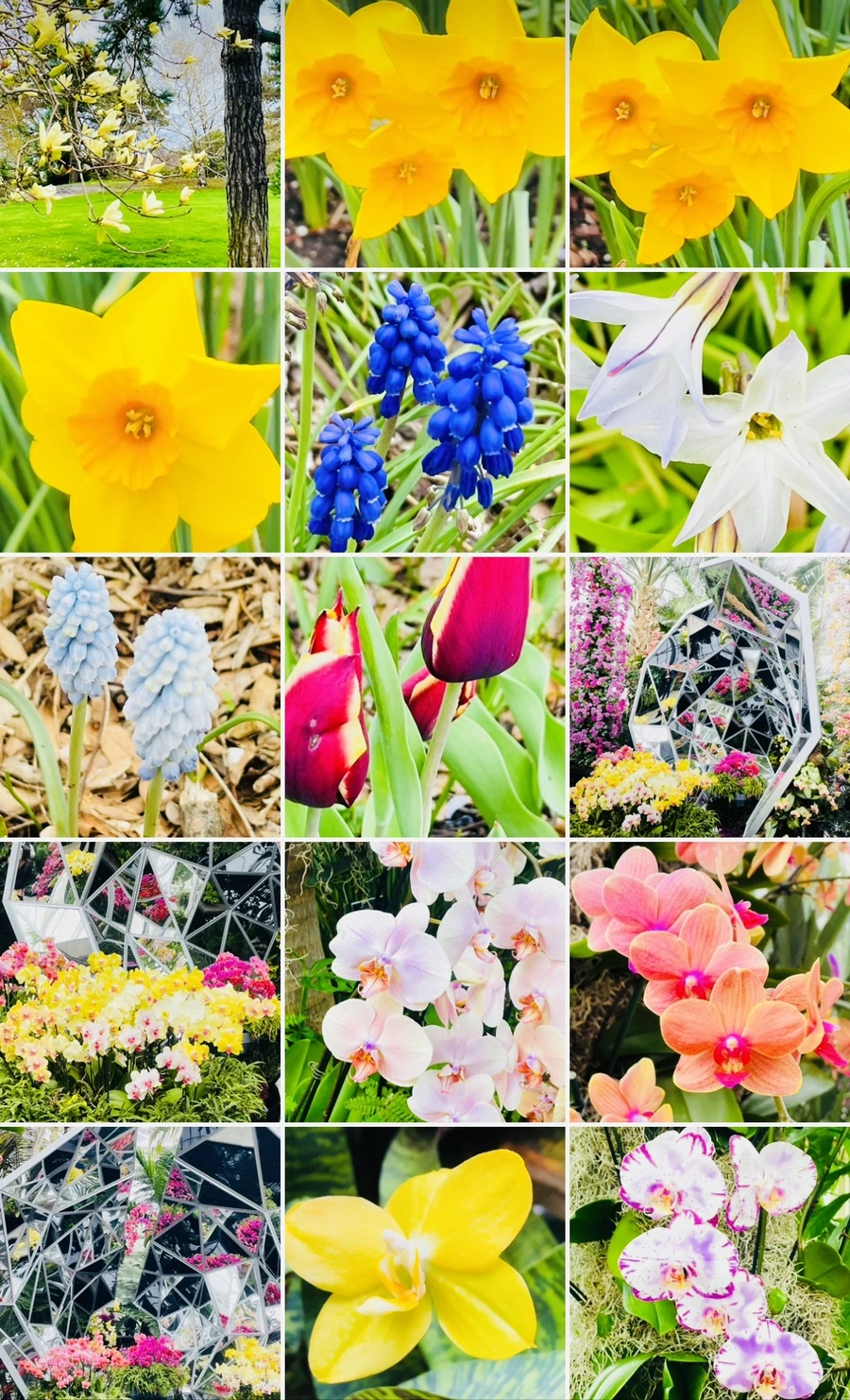 IMG_1438.jpg?type=w966