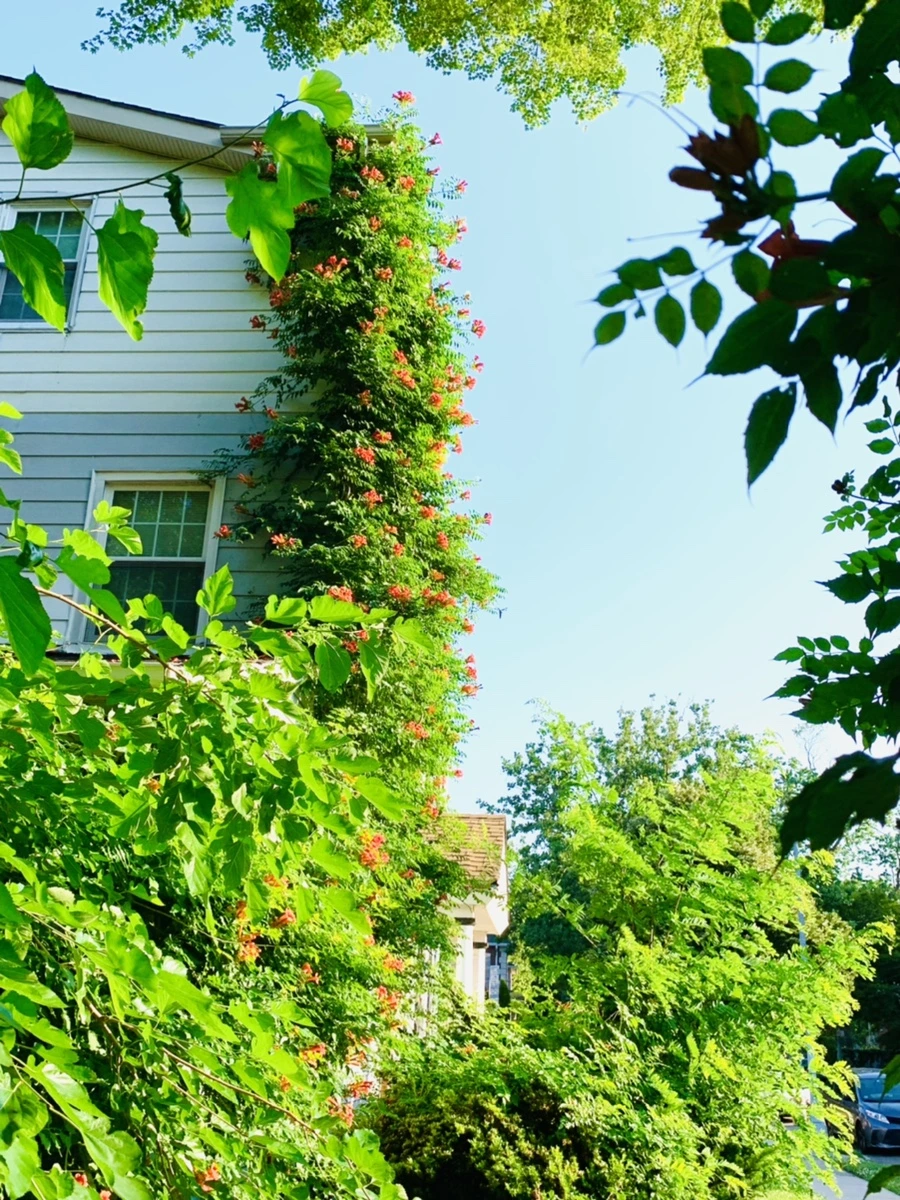 IMG_8248.jpg?type=w966