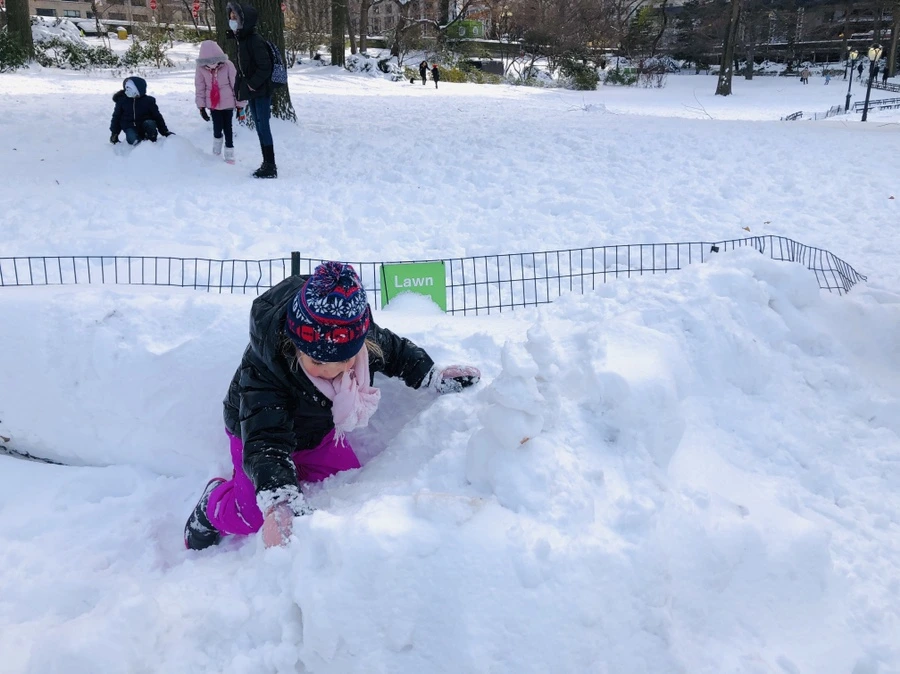 IMG_7017.jpg?type=w966