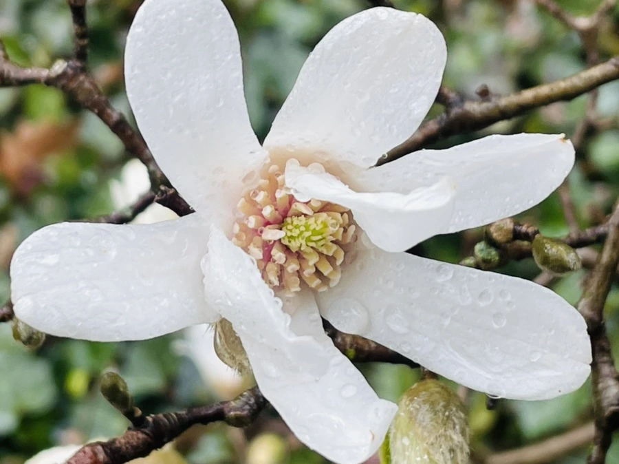 IMG_7360.jpg?type=w966