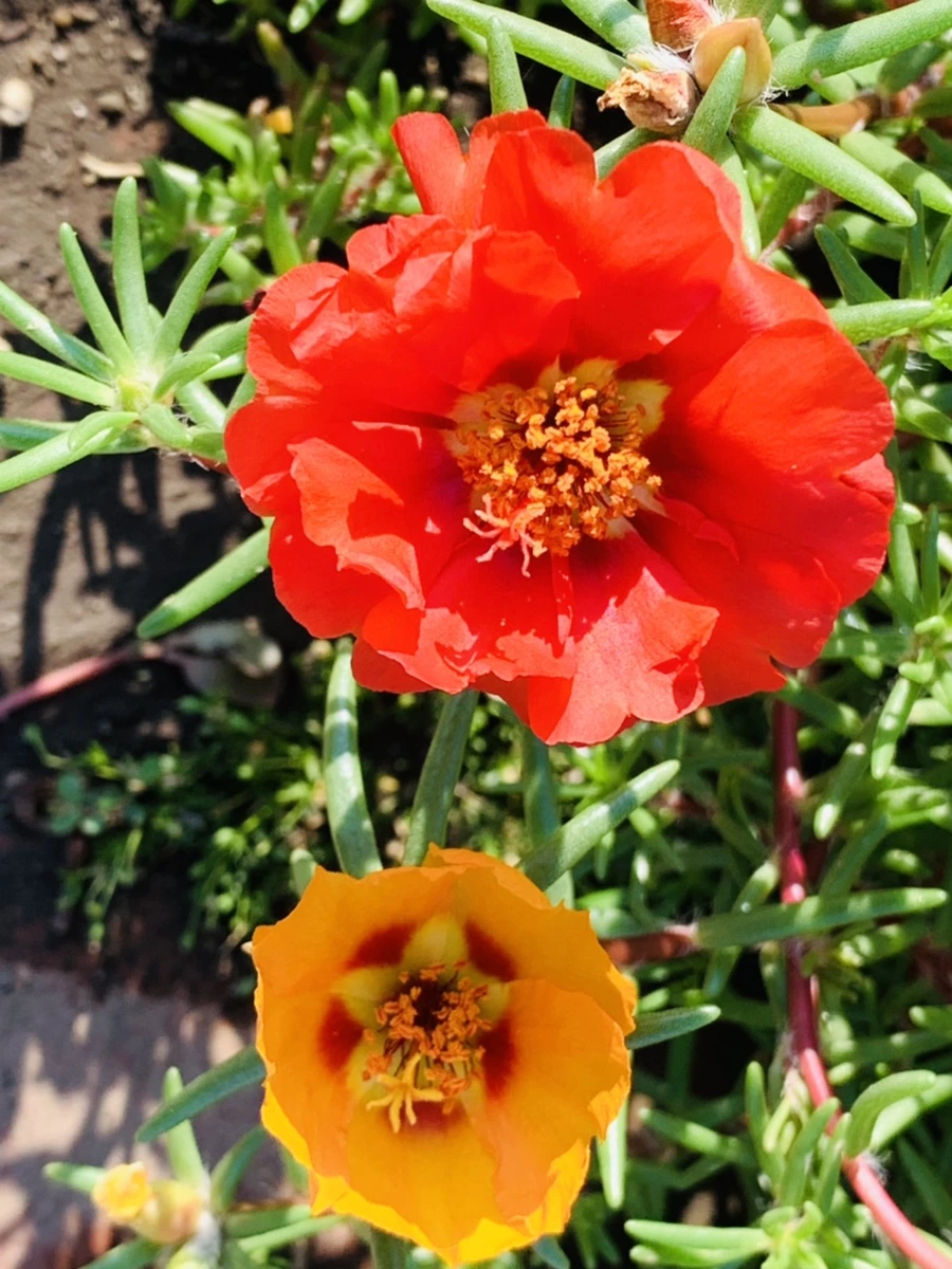 IMG_8399.jpg?type=w966