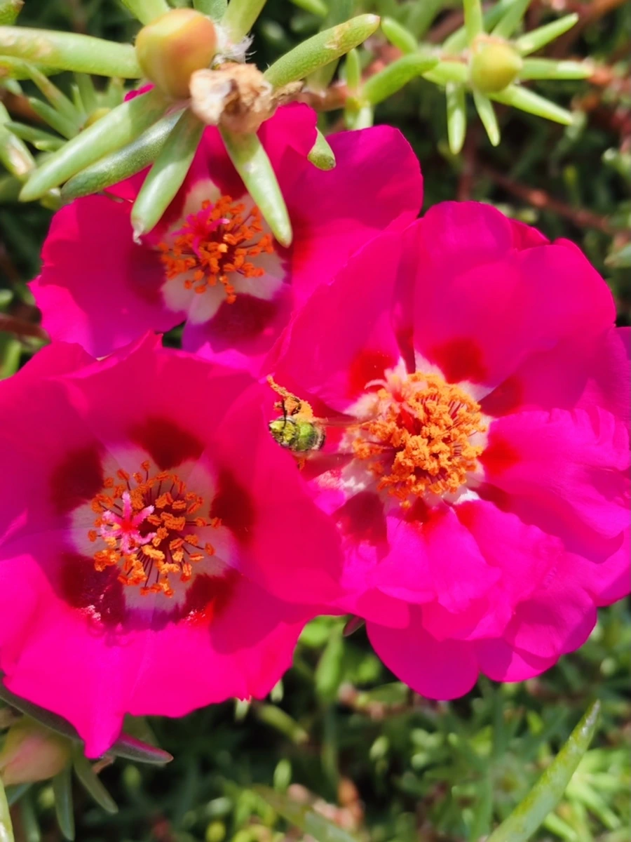 IMG_6637.jpg?type=w966