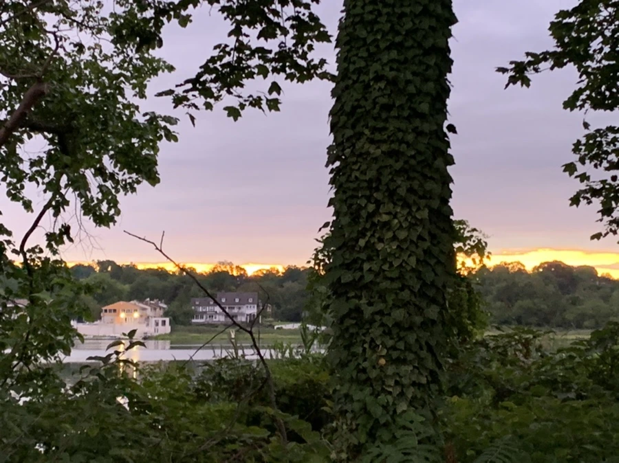 IMG_2284.jpg?type=w966