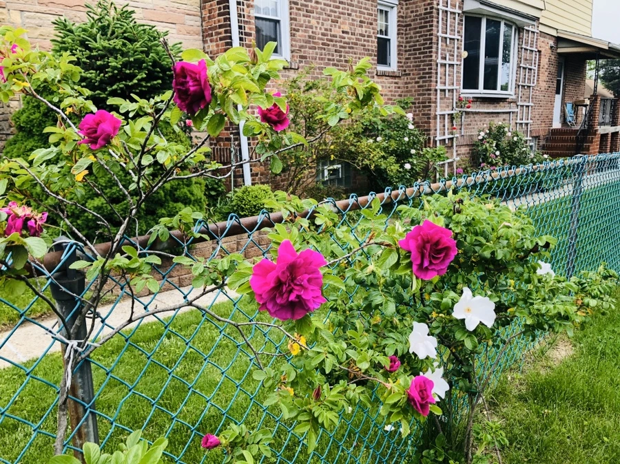 IMG_7363.jpg?type=w966