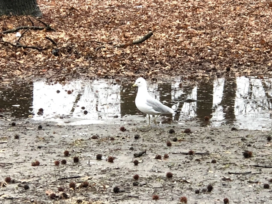 IMG_5679.jpg?type=w966