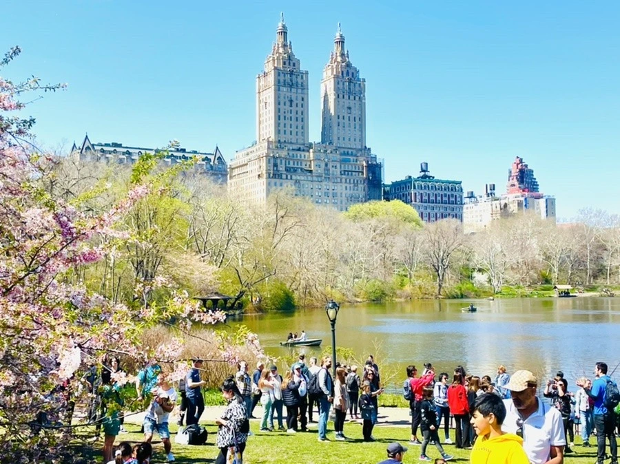 VNGqOBYPBT8kpVPIUUifcdyfQEA