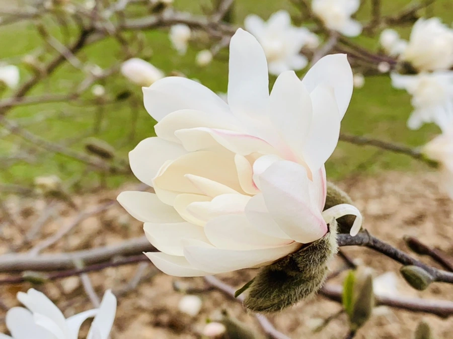 IMG_6021.jpg?type=w966