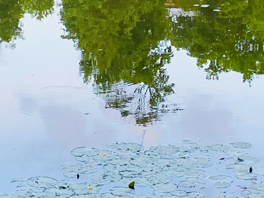 IMG_2987.jpg?type=w966