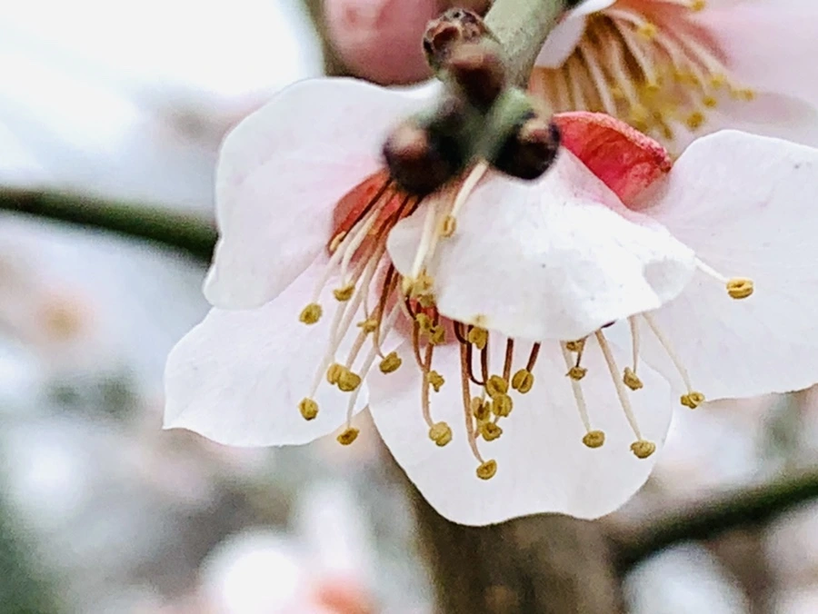 IMG_3644.jpg?type=w966