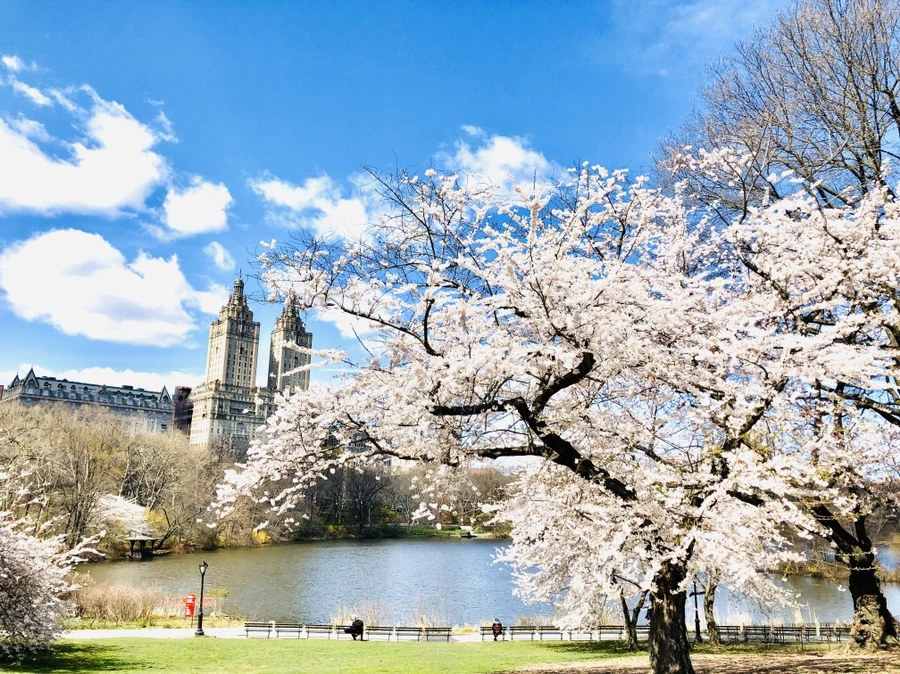 IMG_6835.jpg?type=w966