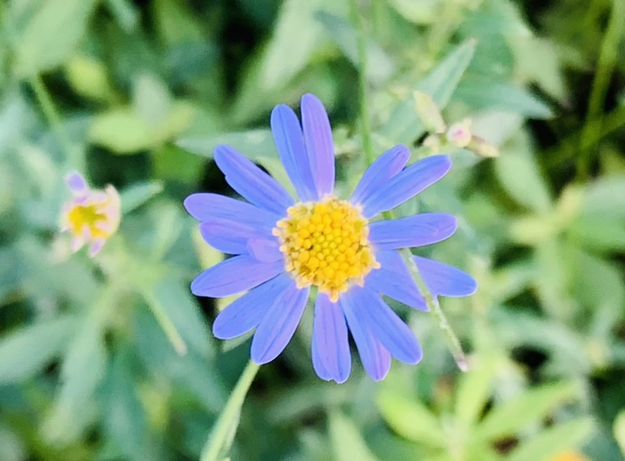 IMG_7055.jpg?type=w966