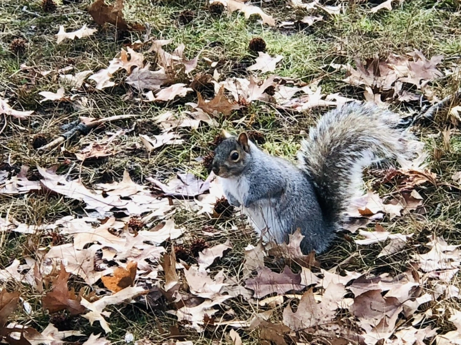 IMG_9935.jpg?type=w966