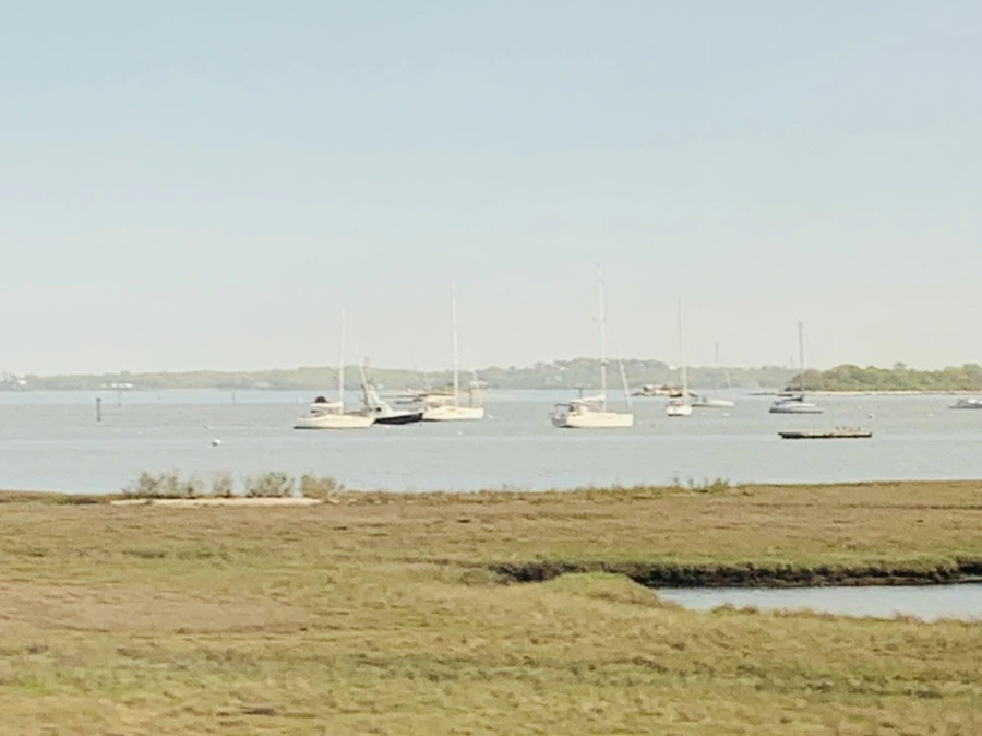 IMG_3187.jpg?type=w966