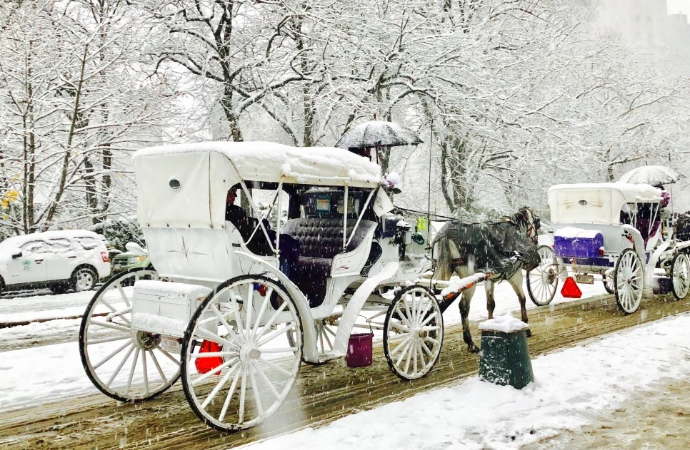 IMG_2056.jpg?type=w966